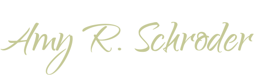 Law Office of Amy R. Schroder